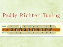ten holes Blues Blues harmonica Paddy sound scale or various other sound scales are available