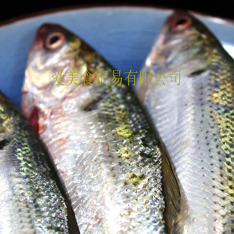 新鲜油扣鱼 油刺鱼 福州地道海鲜 烧烤鱼 (爱美食)