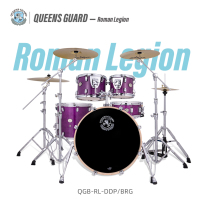 Nine-beat musical instrument Royal Knight QGB-WH electroplated series drum set Childrens beginner professional play jazz drum