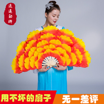 Dance fan Double-sided dance fan Extended square dance fan peony flower fan left and right hands a pair of Jiaozhou Yangge fans