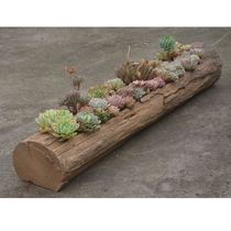 Wood flowerpot fleshy large-caliber creative potted bonsai flowerpot rectangular stake original ecological tree root dead wood trough