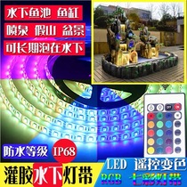 Bubble water underwater 24V colorful RGB color change LED waterfall fountain pool fish tank outdoor waterproof light strip