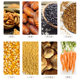 Myna Bird Food Kaiyuan Brand ອາຫານນົກ Barrel Premium Myna Bird Food ອາຫານນົກພິເສດ ອາຫານນົກ ລາຄາເຕັມ ອາຫານນົກ