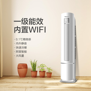 长虹大2匹p一...