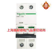 Schneider Electric Circuit Breaker Open Acti9 IC65N 2PD4A Air Switch A9F19204