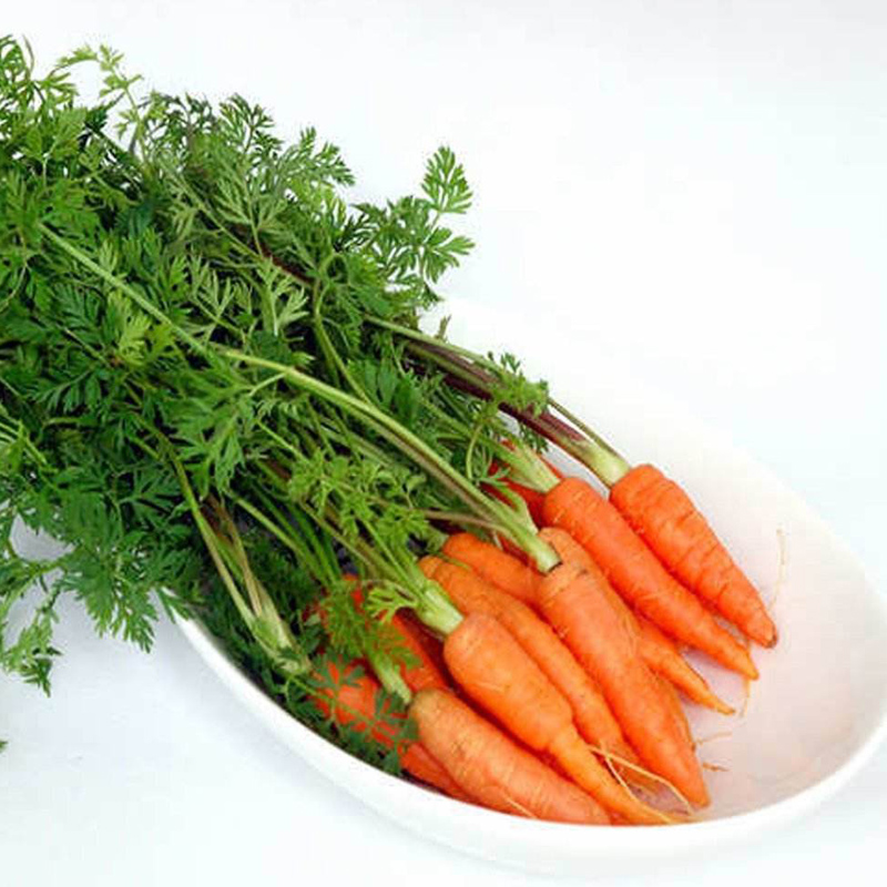 新鲜蔬果带叶小胡萝卜迷你手指胡萝卜西餐蔬菜500g