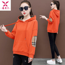 women's pure cotton sweatshirt 2022 new spring autumn loose hooded design miniature thin tops premium