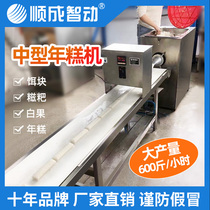 Shuncheng large-scale rice cake machine commercial full-automatic glutinous rice cake machine bait block machine stainless steel rice fruit machine cake machine