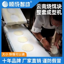 Shuncheng automatic bait block machine Yunnan bait block pressure bait block bait sheet forming machine commercial