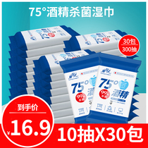 Alcohol 75 degree wet wipes Portable packet Cleaning sterilization disinfection wet wipes Mini portable pack antibacterial 10 pumping