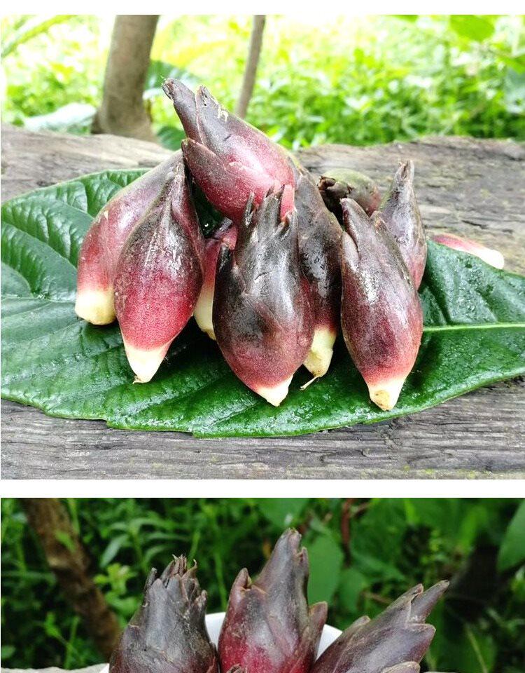 2斤野生现摘新鲜阳荷姜野菜洋荷姜 贵州洋藿阳何茗荷蔬菜洋火阳荷