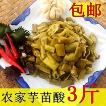 Bobai sour taro seedling Sour taro stem Guangxi Lingshan specialty pickles Homemade taro leaf stem marinated farm taro seedling stem