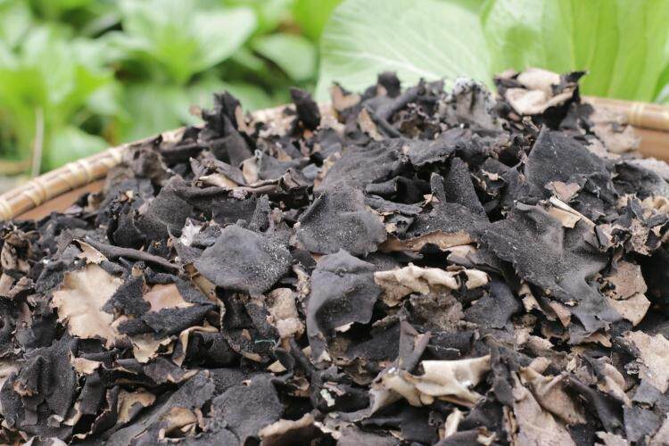 九华山特产野生非免洗黄山特大石耳 岩耳100克特价干货特价