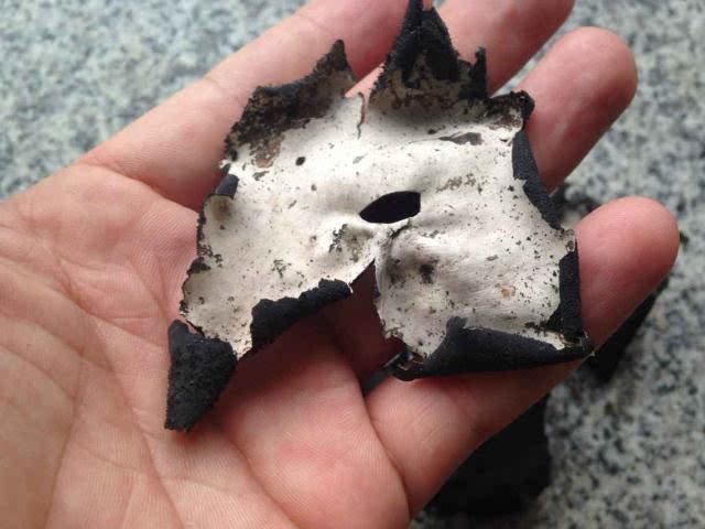 特大黄山石耳7到11公分无沙九华山特产野生岩耳石衣免洗100克包邮