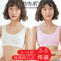 Developmental small vest junior high school elementary school students 9-16 years old girl girl bra children girls underwear base