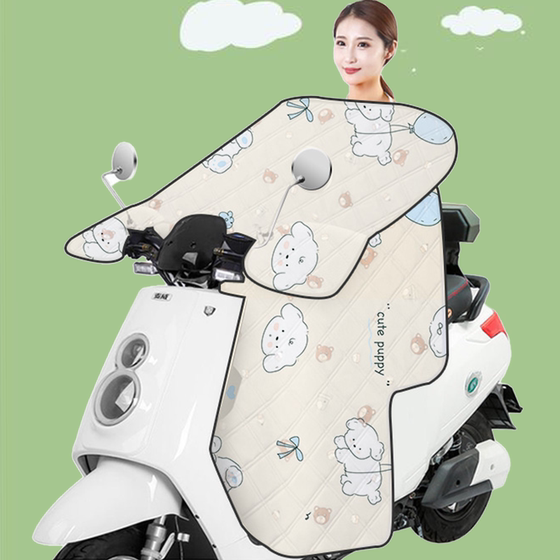 전기 자동차 여름 방풍 선 스크린, 방수 선 스크린, 얇은 오토바이 배터리 자동차 방풍 방지 방지 차량 커버 전기 자동차 여름 방풍 선 스크린, 방수 선 스크린, 얇은 오토바이 배터리 자동차 방풍 방지 방지 차량 커버