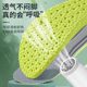 남성과 여성을위한 Deodorant Military Training Insoles, 매우 부드럽고 장기적으로 서, 피로, 구내, 탈취, 땀 흡수, 통기성, 스포츠 및 충격 흡수 남성과 여성을위한 Deodorant Military Training Insoles, 매우 부드럽고 장기적으로 서, 피로, 구내, 탈취, 땀 흡수, 통기성, 스포츠 및 충격 흡수