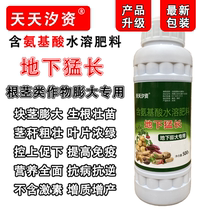 Germany imported underground roots with large underground roots and potato lotus potato potato potato potato potato potato potato potato potato potato roast