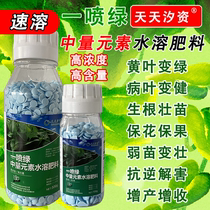 Germany imported yellow leaves and leaves a spray green leaf fat vegetable fruit tree plant a new amino