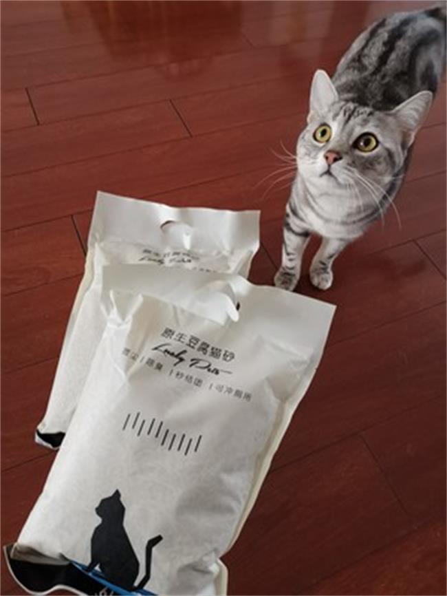 猫咪不爱用猫砂？选这款猫砂就对了！25