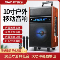 Lion Music SD-3 High Power Outdoor Square Audio Dance Portable 10 "Wooden Bluetooth Mobile Rod Speaker