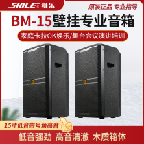 Lion Music BM-15 Professional Stage Conference Speaker 15-inch Performance KTV karaoke Wedding Background Music Speaker