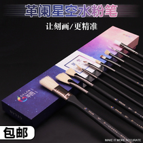 Ge Lan starry sky water chalk set art students professional oil painting brush wolf pig Mane hook line art Test joint examination fan-shaped pen