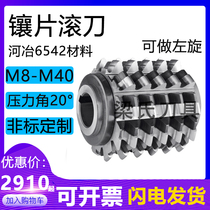 Insert gear hob M14 A Φ200X220X50 (high-speed steel Heye Ye 6542 material)