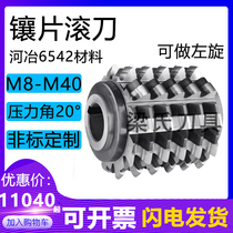 Insert gear hob m22 m24 m25 m28 m32 --m40a20°A Heye 6542