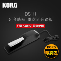 KORG DS-1H DS1H Sustain Pedal Keyboard Sustain Pedal