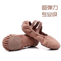 Full elastic cloth dance shoes womens soft bottom summer childrens practice teacher classical special tie-free professional ballet Cat Claw