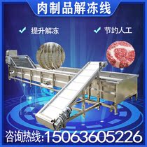 Adjustable fast frozen meat thawing machine Large seafood squid frozen shrimp thawing assembly line beef and mutton freezer