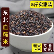 Northeast farmhouse black glutinous rice rice ball special rice 5kg glutinous rice purple glutinous rice bulk black glutinous rice blood glutinous rice new rice