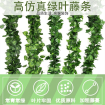 Simulation vines view rattan Vine Leaf Hotel Restaurant Emulation Green Loo long rattan water pipe winding sheltering fake green loaf