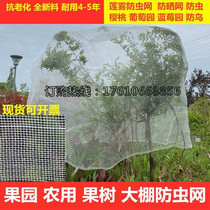 Anti-Insect Hood Lotus Mesh Hood Jiabao Fruit Tree Anti-Bird Hood Poplar Mesh Cherry Net Fruit Fly Hood Anti-Bug Nets Gauze Tree Cover