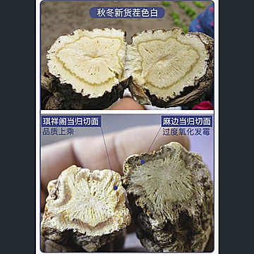 【琪祥阁】岷县无硫整根当归250g[20元优惠券]-寻折猪