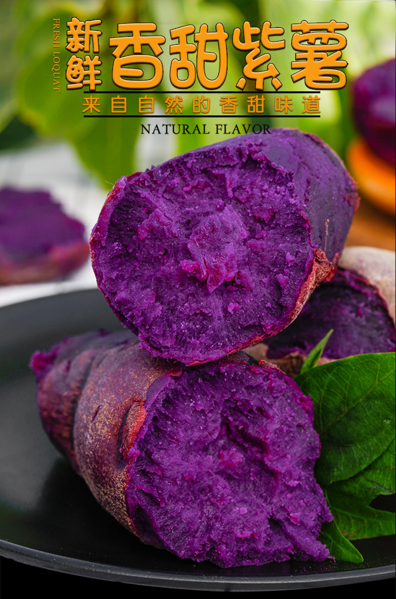 紫薯新鲜5斤广东沙地现挖板栗红薯番薯紫心蜜薯10斤蔬菜新鲜番薯