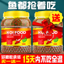 Carp feed small particles watch fish fish eat high-spirulina coloring fish food floating small fish goldfish feed