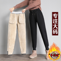 Big-yard plush pants fat MM sweatpants 200 pounds winter lamb fluff thicker pants loose and warm cotton pants