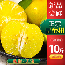 Authentic Guangxi Emperor citrus fruit fresh big fruit season 10kg whole box Huangdi Gongwo tangerine orange Orange