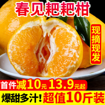 Sichuan spring sees rake oranges 10kg fresh should season ugly Sweet Orange Orange pregnant women fruit whole box 5