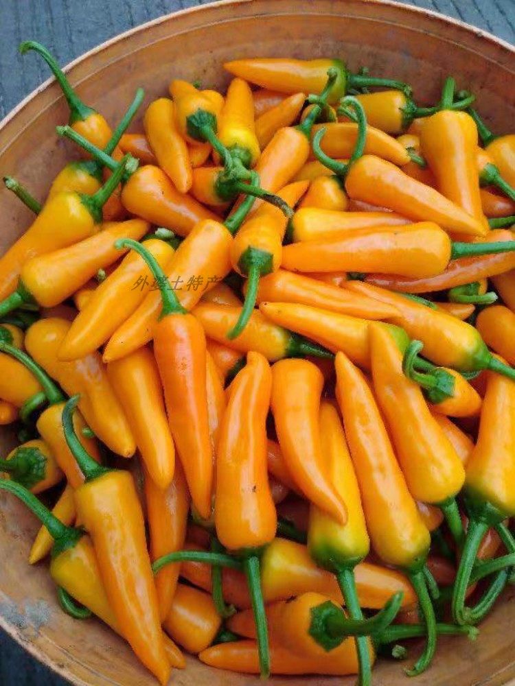 永安黄椒300g新鲜小辣椒黄贡椒剁辣椒农家自种朝天椒超香辣小米椒_双