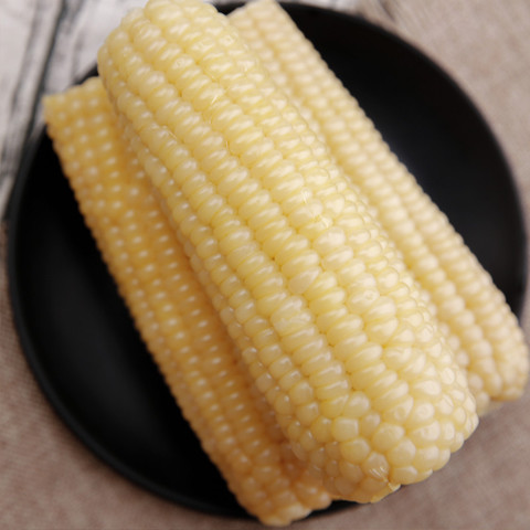 东北白糯玉米非转基因苞米真空甜粘嫩代早餐即食新鲜玉米棒4根装