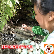 Hunan Xiangxi soil eggs mountain forest free-range farm free-range green shell black eggs Eighteen hole Village pheasant 50 pieces