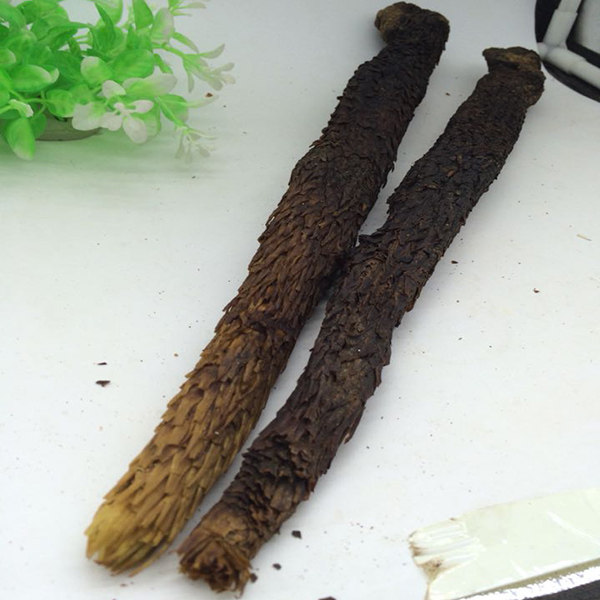 阿拉善野生油肉性苁蓉内蒙古40厘米中药材送锁阳软大芸250g包邮