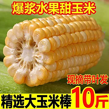 云南新鲜水果玉米包邮带箱10斤[15元优惠券]-寻折猪