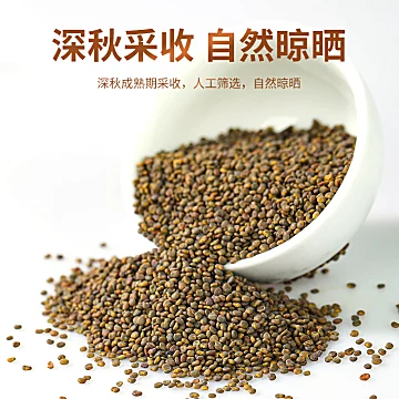 新货沙苑子茶沙菀子正品沙苑蒺藜[3元优惠券]-寻折猪