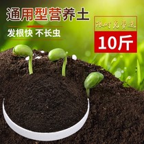 Strawberry Special Nourishment Ground Flowers Nutrientus Rhododendron Flowers Generic Hair Treasure Tree Soil Varieties for Domestic Flowers