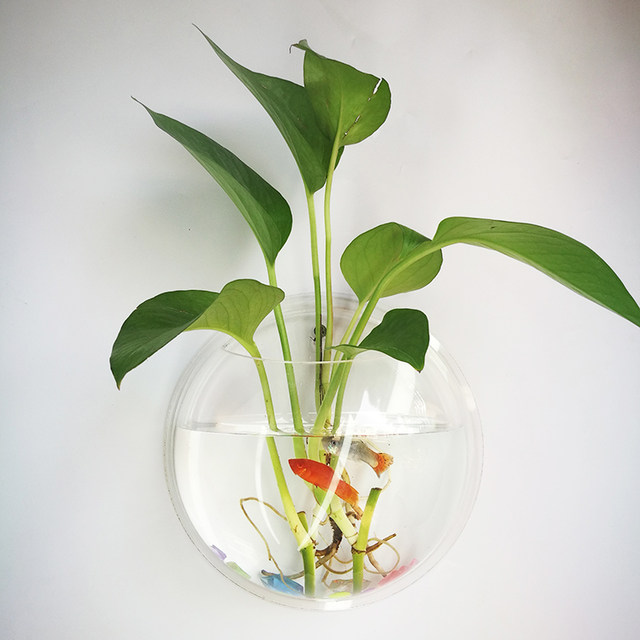 水培绿萝家居绿植园艺亚克力墙贴插花花瓶水养植物园艺朴实花盆 水培绿萝家居绿植园艺亚克力墙贴插花花瓶水养植物园艺朴实花盆