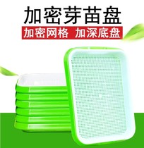 Hair Bean Sprout Theorizer Home Homemade Bean Sprout Germination Basin Thickened plastic Large Number of Sprout Trays no Tuiless Cultivated Vegetables